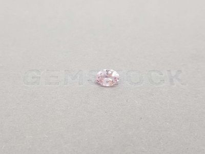 Light pink oval cut tourmaline 0.78 ct photo
