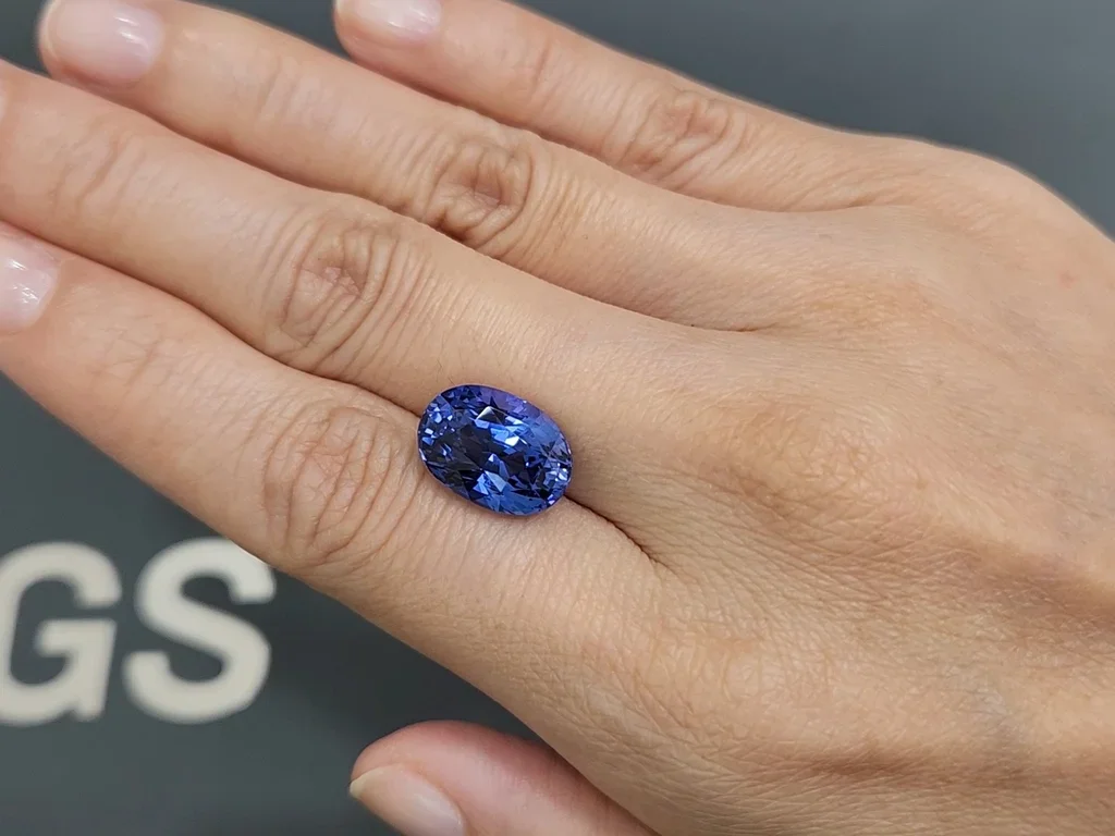 Saphir bleu royal taille ovale 10,23 carats  Image №2