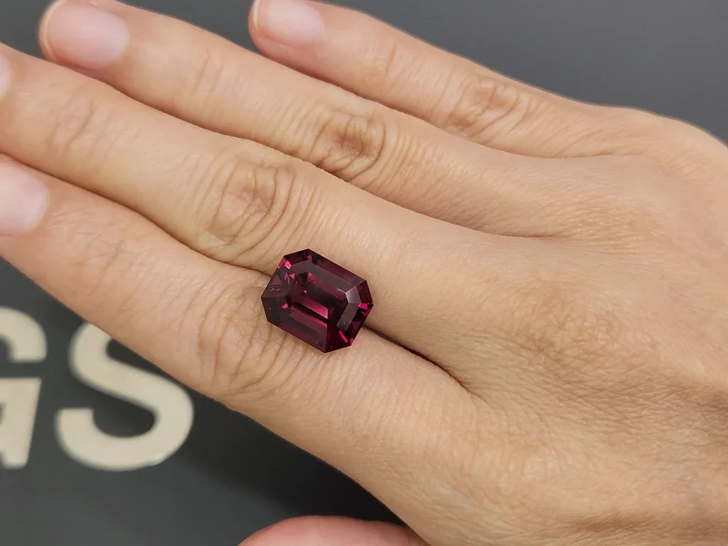 Grenat rhodolite taille octogonale 10,05 carats, Sri Lanka Image №2