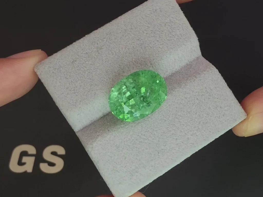 Paraíba-turmalin Neongrün im ovalen schliff 12,12 karat, Mosambik  Image №4