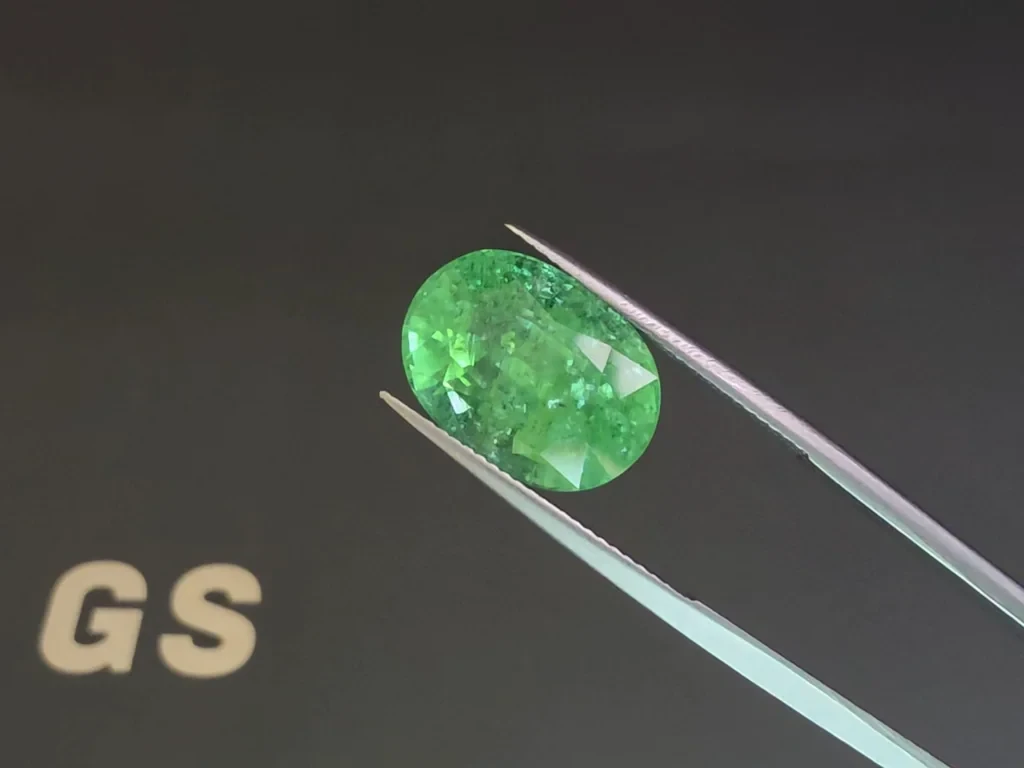 Paraíba-turmalin Neongrün im ovalen schliff 12,12 karat, Mosambik  Image №3