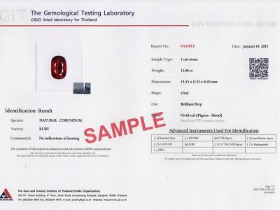 Identification Report GIT photo