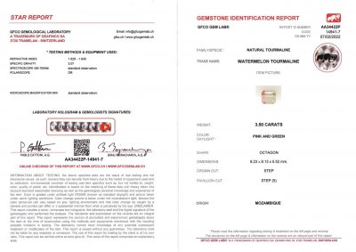Certificate Octagon polychrome tourmaline 3.50 ct, Mozambique