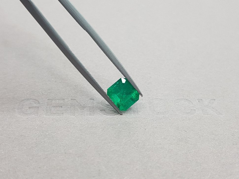 Vivid Green emerald octagon cut 1.25 ct, Colombia Image №4