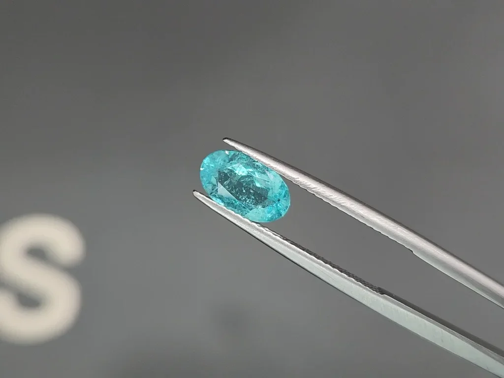 Paraiba-Turmalin im Ovalschliff, 1,29 Karat, Mosambik  Image №3