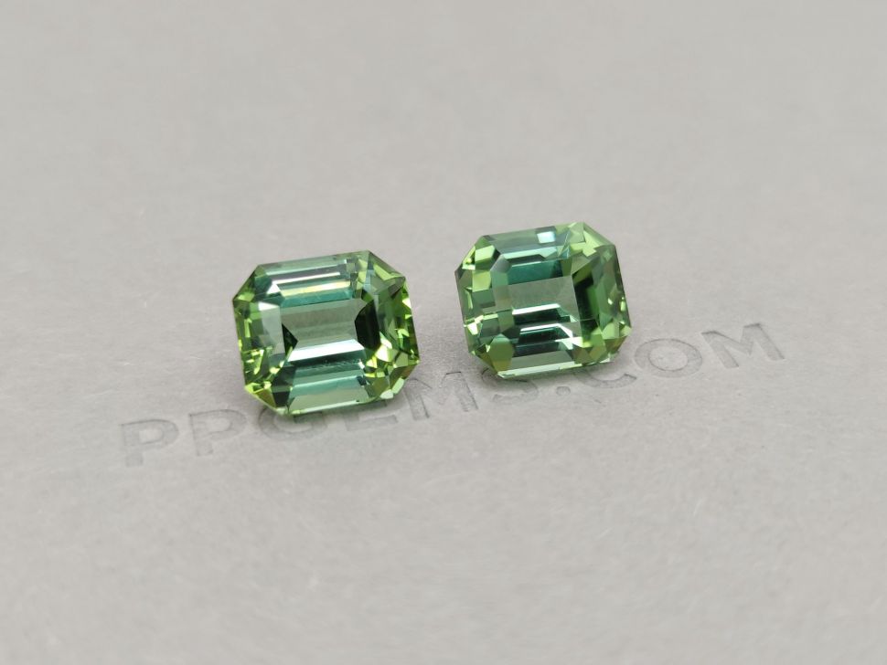 Pair of green octagon cut tourmalines 19.36 ct Image №2