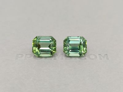 Pair of green octagon-cut tourmalines 19.36 ct photo