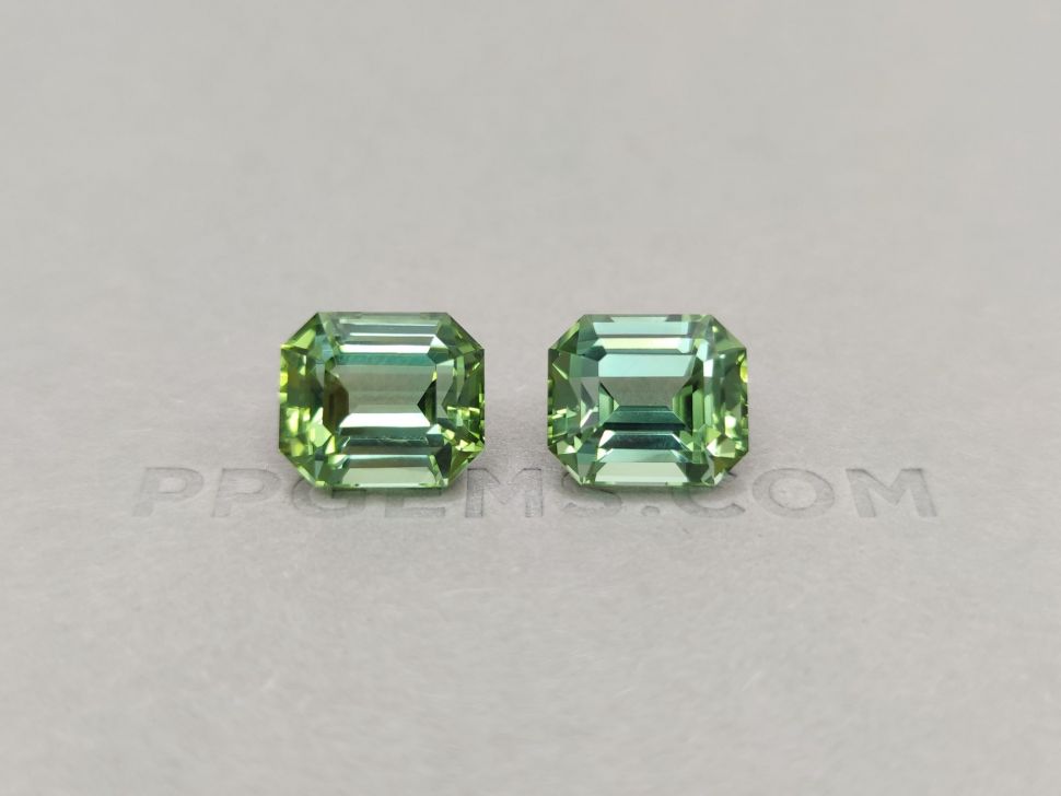 Pair of green octagon cut tourmalines 19.36 ct Image №1