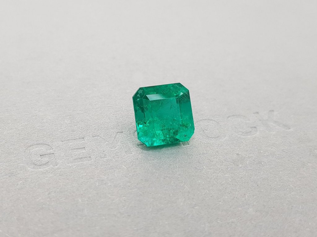 Vivid Green Colombian Emerald 5.95 ct, Gubelin Image №2