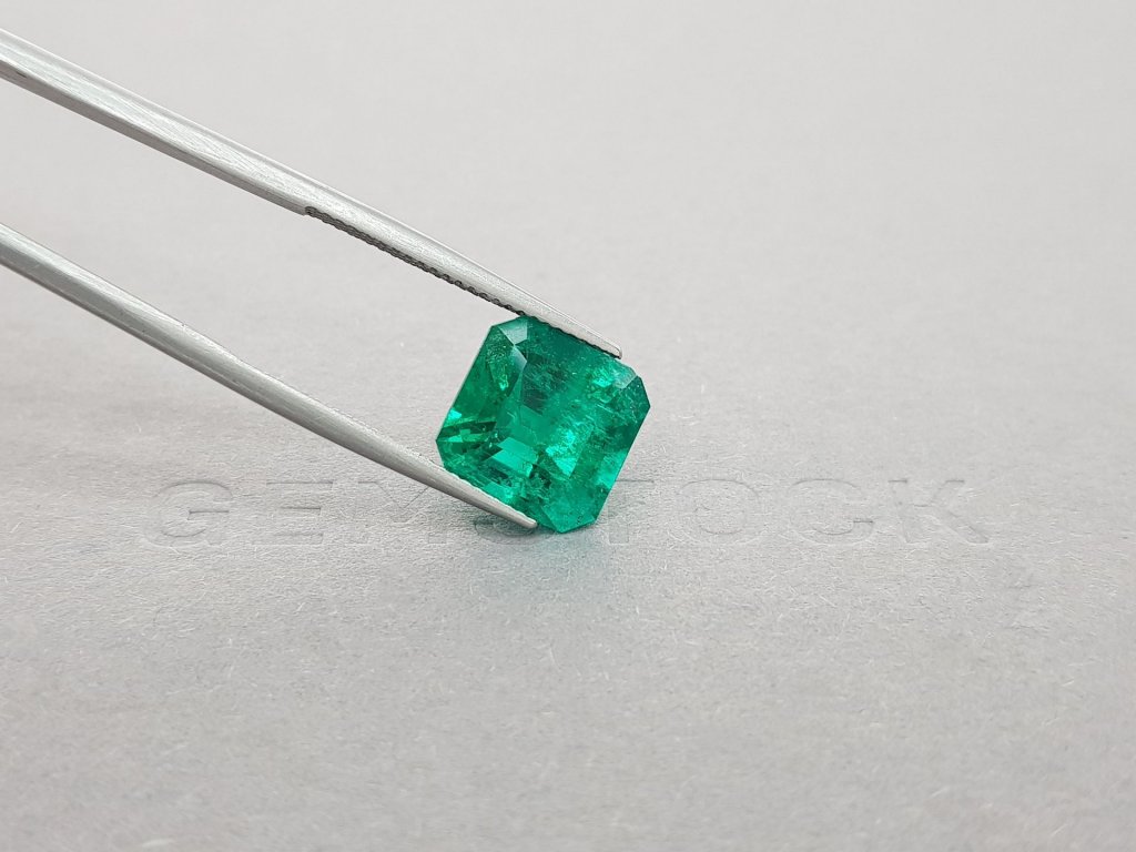 Vivid Green Colombian Emerald 5.95 ct, Gubelin Image №4