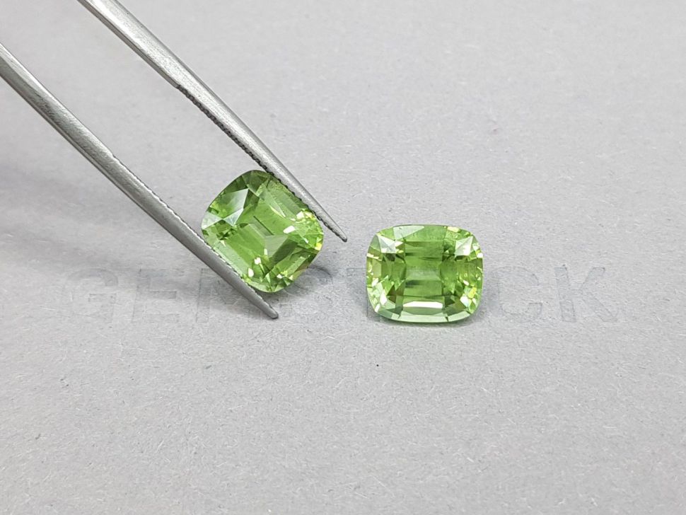 Pair of peridots from Burma in a cushion cut 8.35 ct Image №4