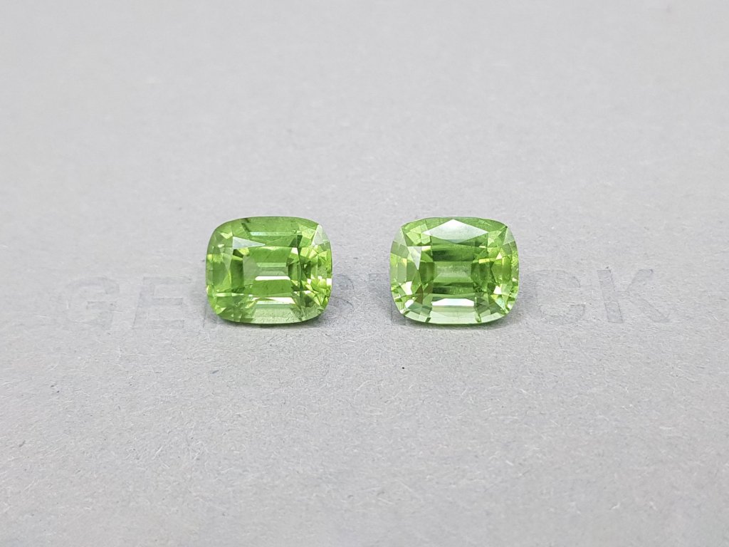 Pair of peridots from Burma in a cushion cut 8.35 ct Image №1