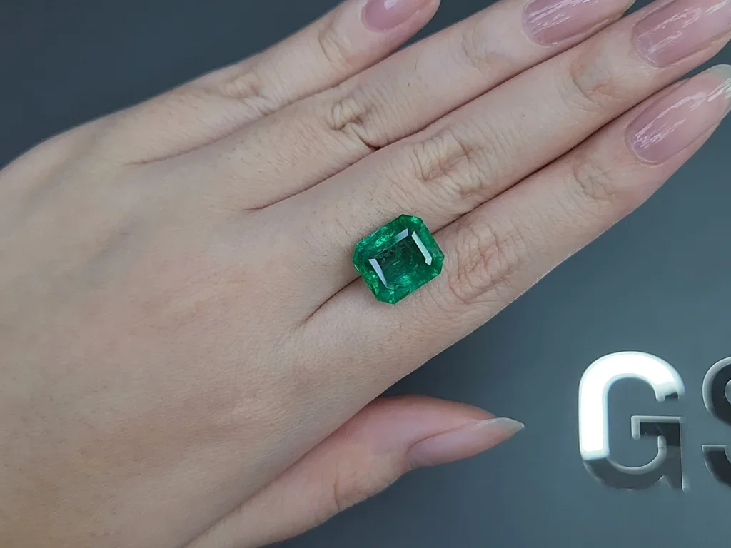 Émeraude taille octogonale 7,94 carats, Zambie  Image №2