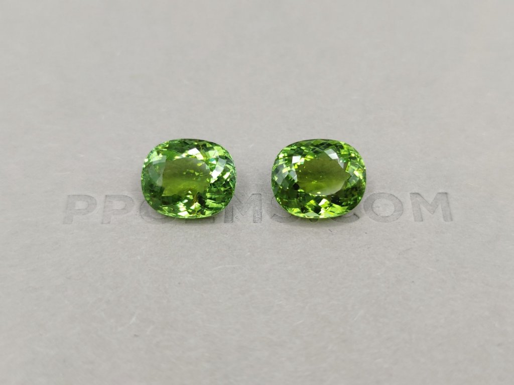 Saturated pair of verdelite oval cut 11.30 ct Image №1