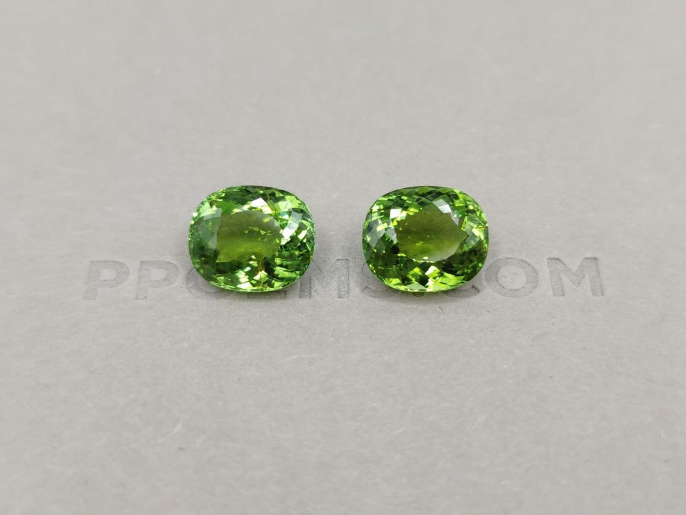 Saturated pair of verdelite oval cut 11.30 ct Image №1