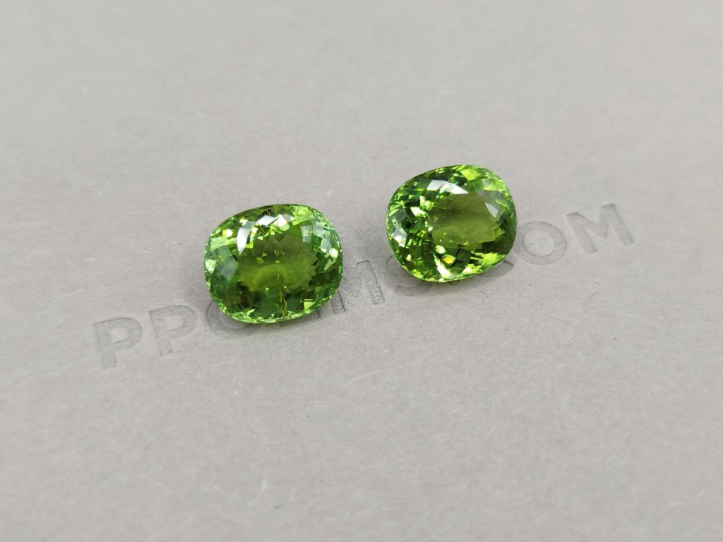 Saturated pair of verdelite oval cut 11.30 ct Image №2