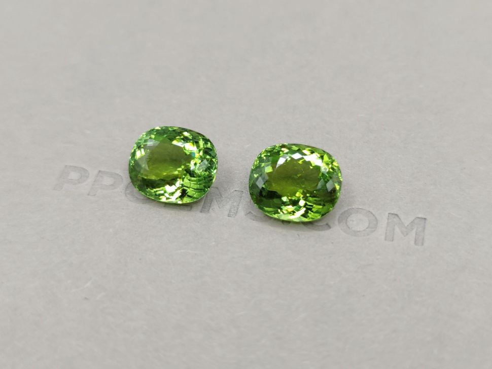 Saturated pair of verdelite oval cut 11.30 ct Image №3