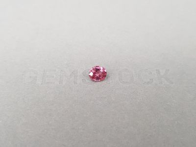 Pink Malaya garnet oval cut 0.70 carats, Tanzania photo