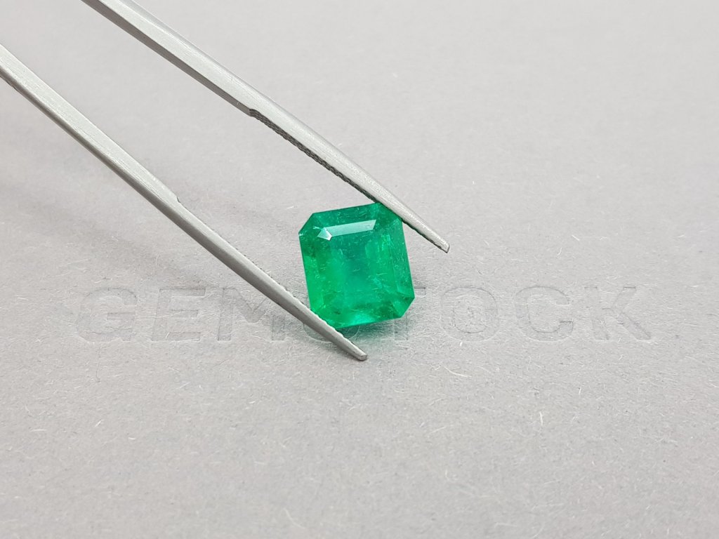Colombian Vivid Green emerald octagon shape 3.42 ct Image №4