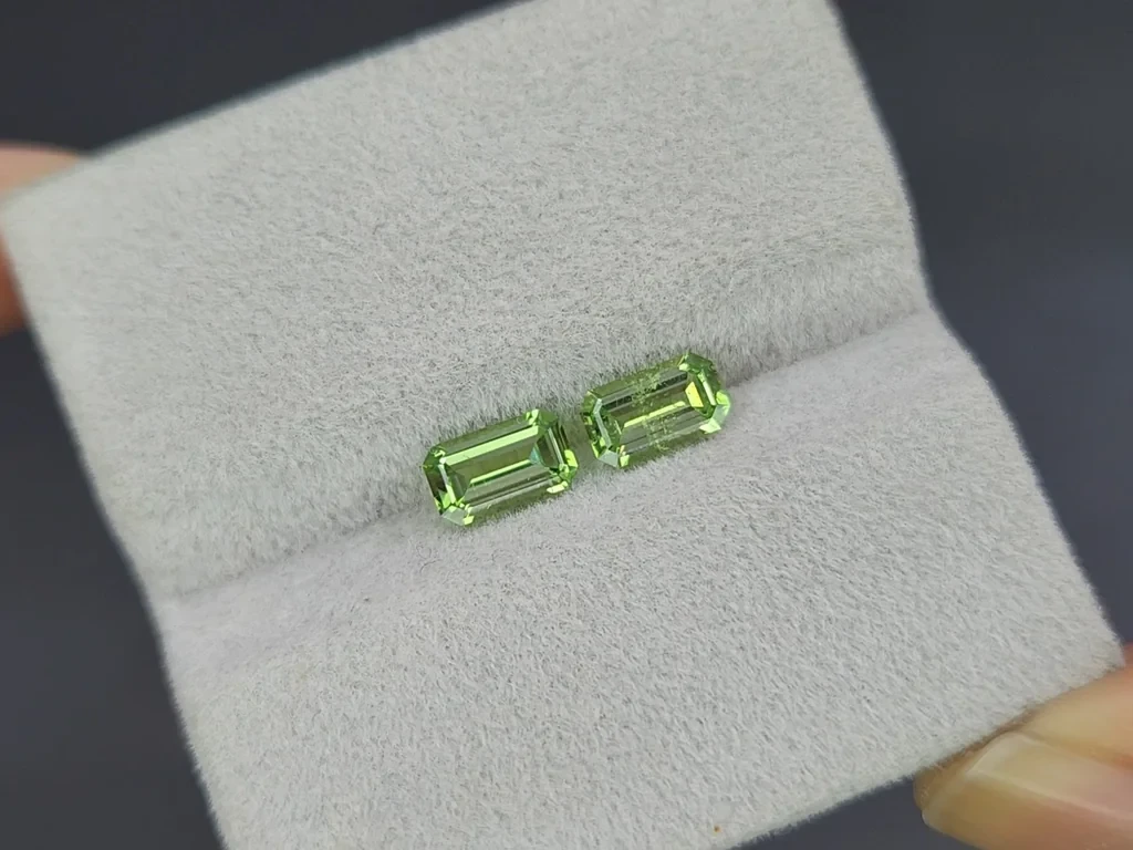 Pair of grossulars octagon cut 1.41 carats, Madagascar Image №4