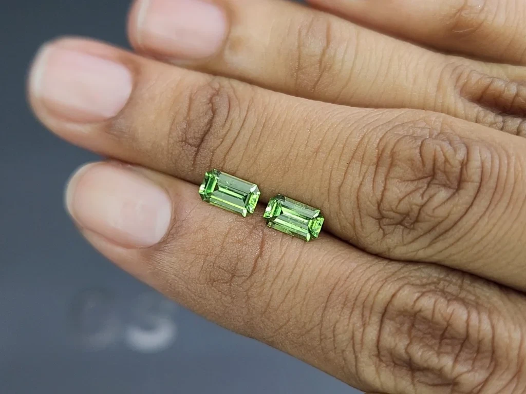 Pair of grossulars octagon cut 1.41 carats, Madagascar Image №2