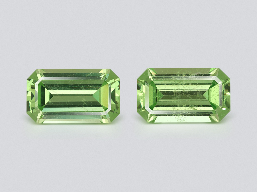 Pair of grossulars octagon cut 1.41 carats, Madagascar Image №1
