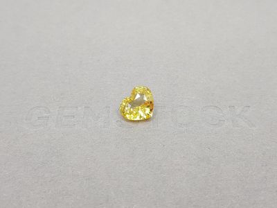 Heart cut yellow sapphire 2.02 ct, Sri Lanka photo