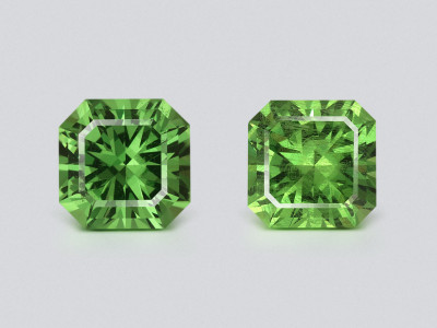 Pair of grossulars radiant cut 1.43 carats, Madagascar photo