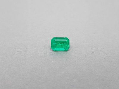 Colombian vivid green emerald 2.96 ct, GRS Minor photo