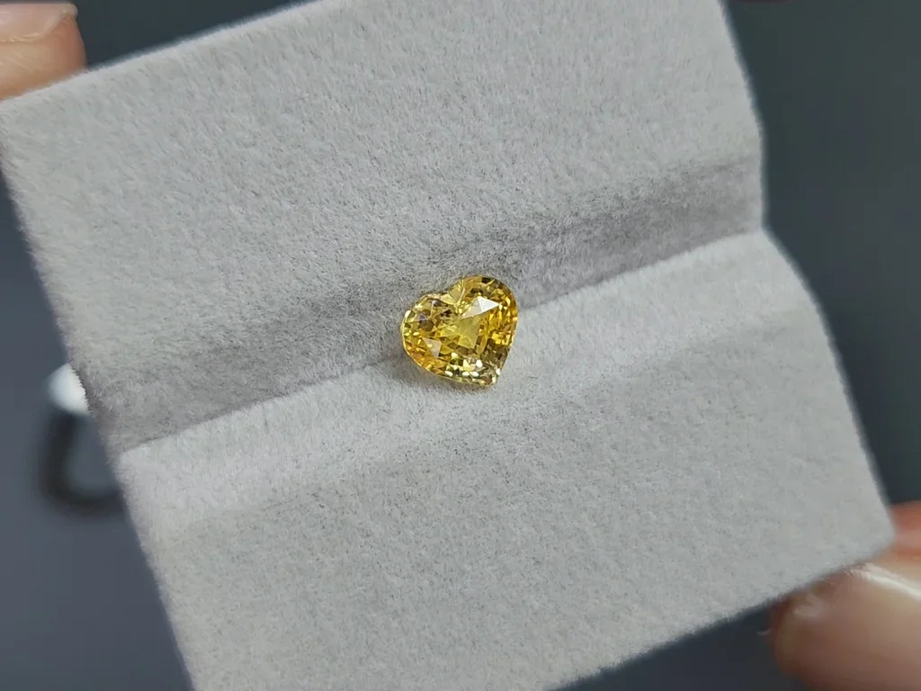 Unbeheizter gelber saphir im herzschliff 1,52 carats, Sri Lanka Image №4