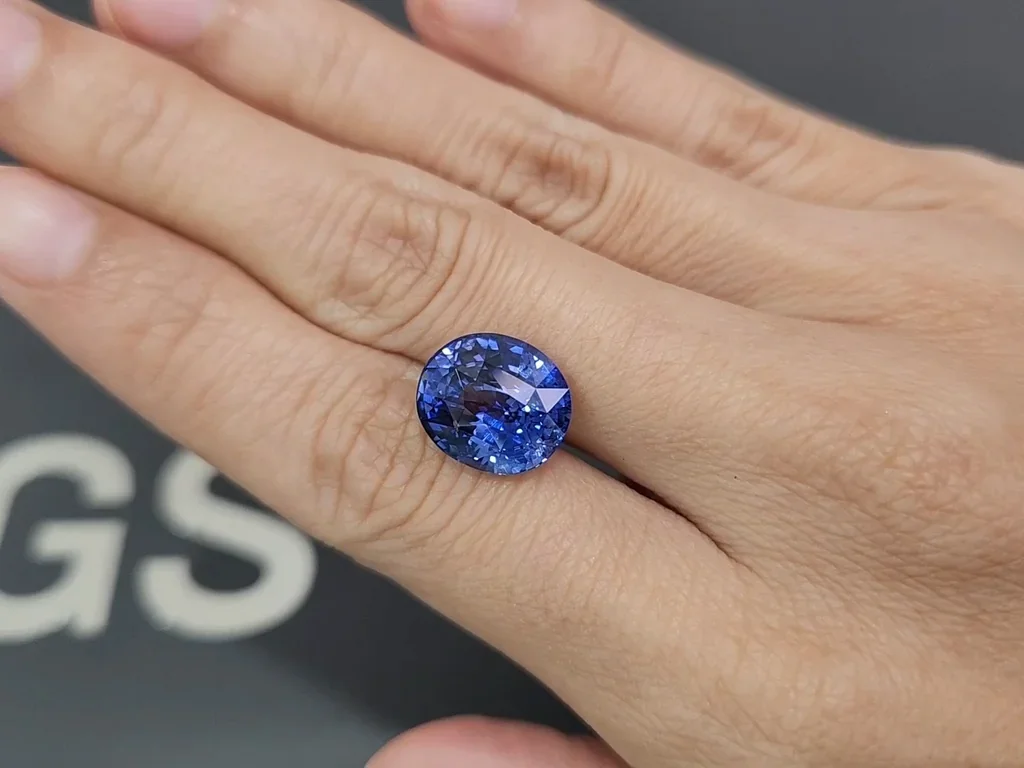 Saphir bleu taille ovale 9,01 carats, Sri Lanka Image №2