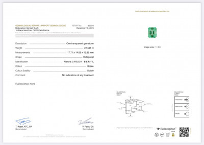 Certificate Großer, grüner beryll achteckig  22,34 karat, Nigeria