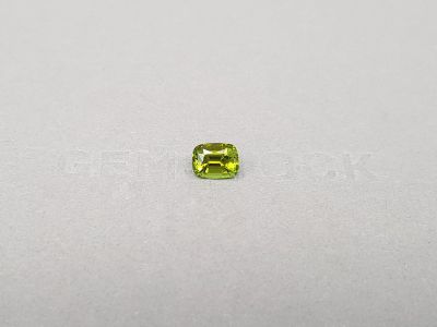 Green tourmaline from Nigeria in cushion cut 1.16 carats photo