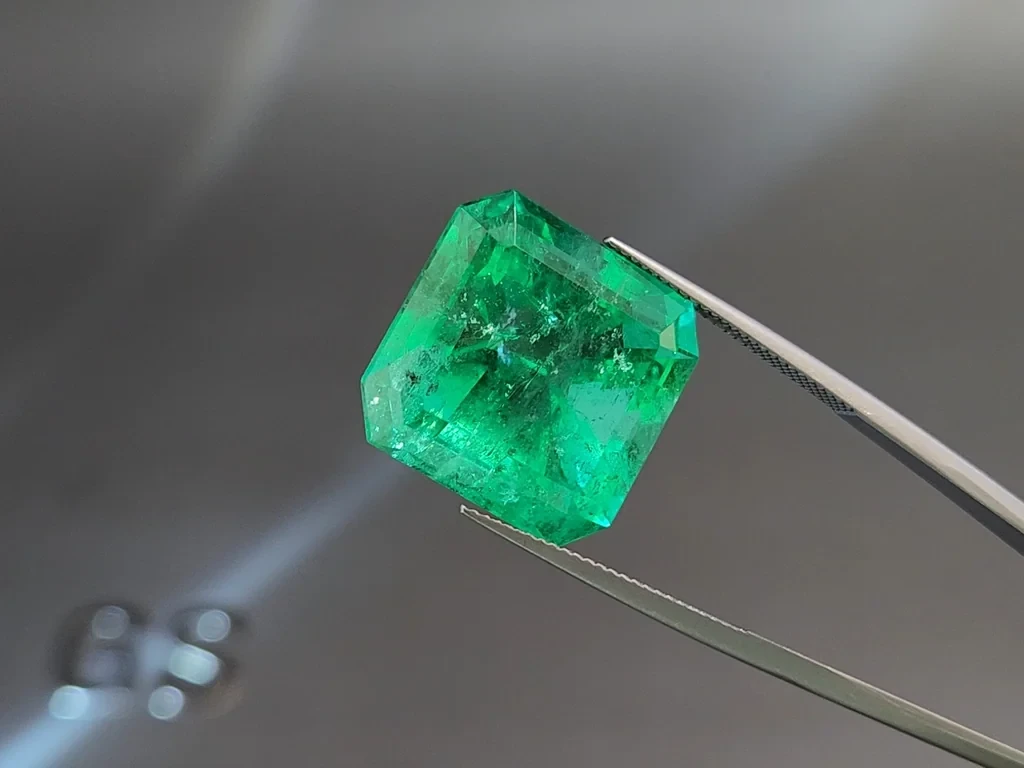 Large emerald  Intense Green octagon cut 29.23 carats, Colombia Image №3