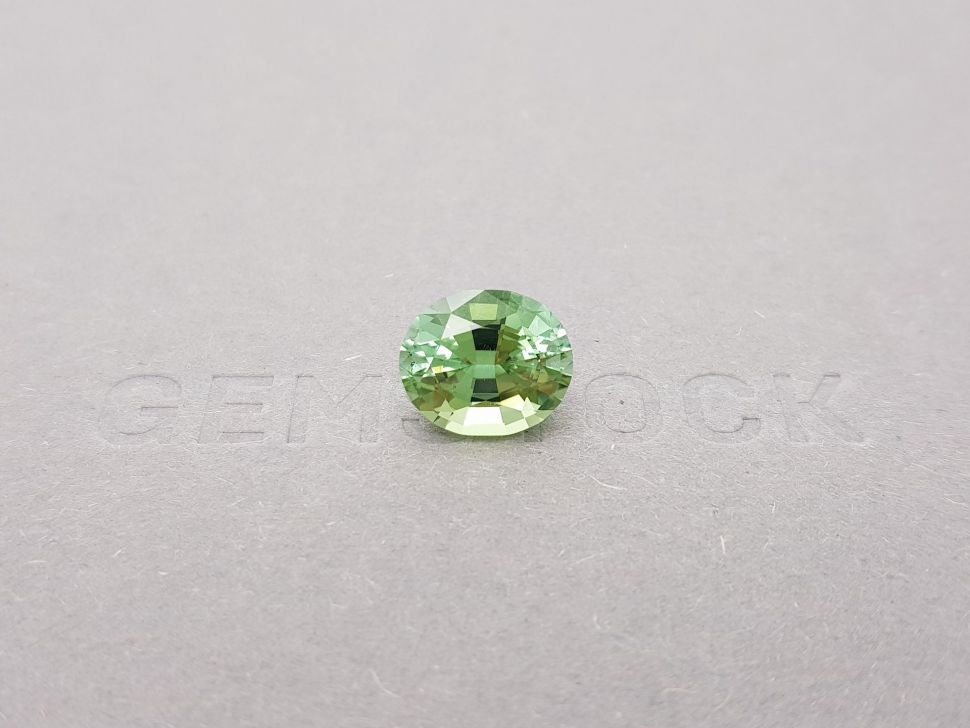 Green tourmaline oval cut 4.37 ct Image №1