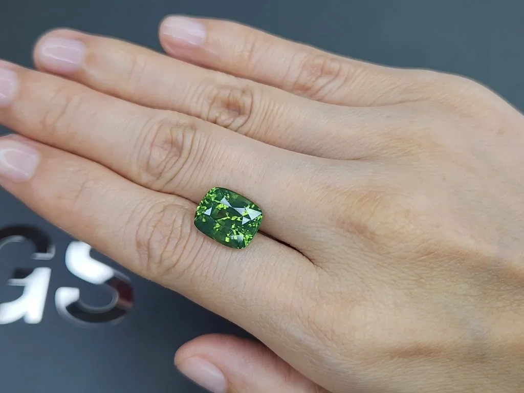 Rare zircon vert naturel taille coussin 8,50 carats, Tanzanie  Image №2