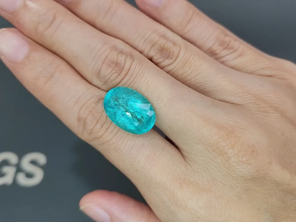 Neonblauer turmalin Paraiba ovaler 11,74 karats, Afrika Image №2