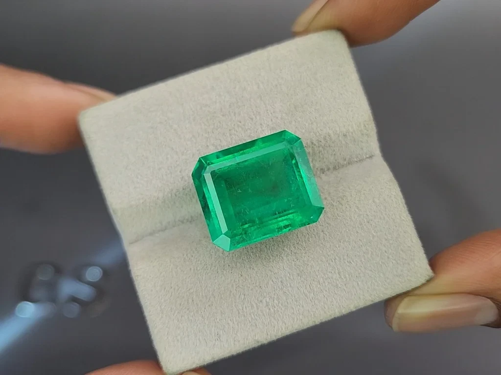 Emerald Vivid Green octagon cut 13.66 carats, Colombia Image №4