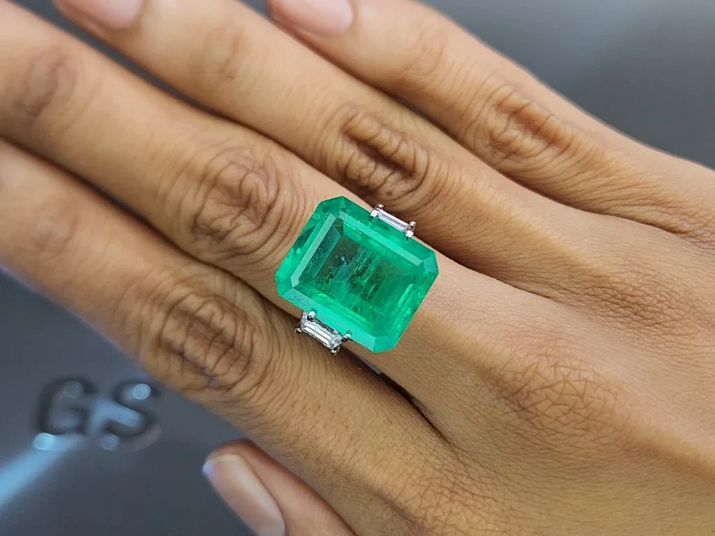 Emerald Vivid Green octagon cut 13.66 carats, Colombia Image №5
